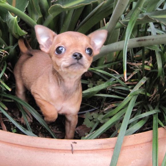 Meet your Posher, Katie - Picture 1 of 1